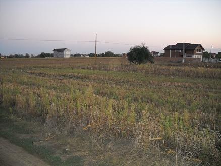 TEREN DE VANZARE IN COMUNA BERCENI